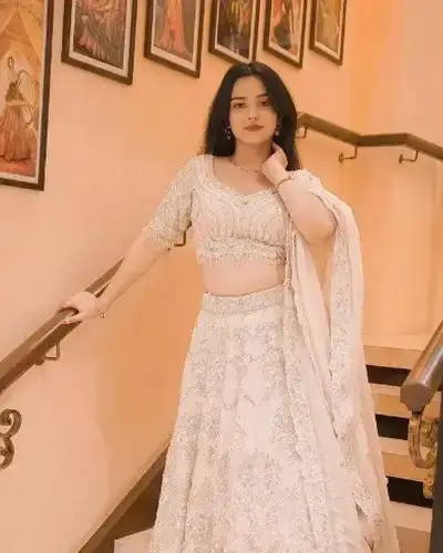 Escort Service In Ramsanehighat